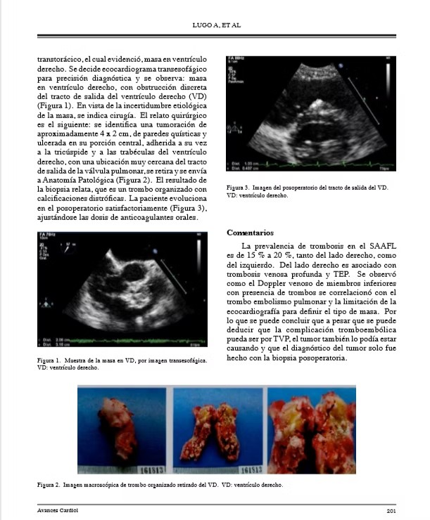 Publicación 4