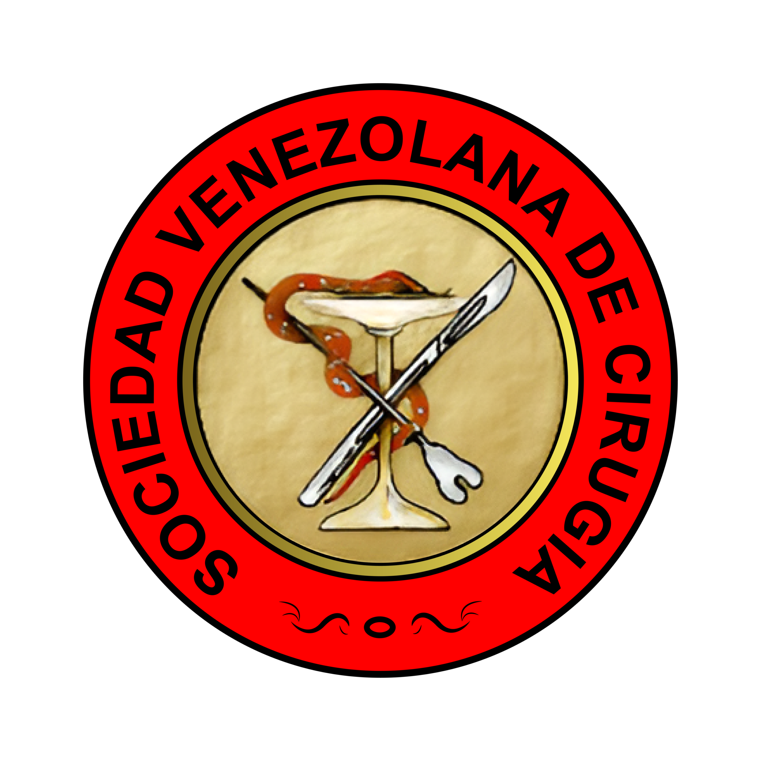 Sociedad Venezolana de Cirugía